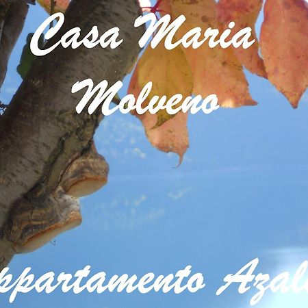 Ferienwohnung Casa Maria Molveno Zimmer foto