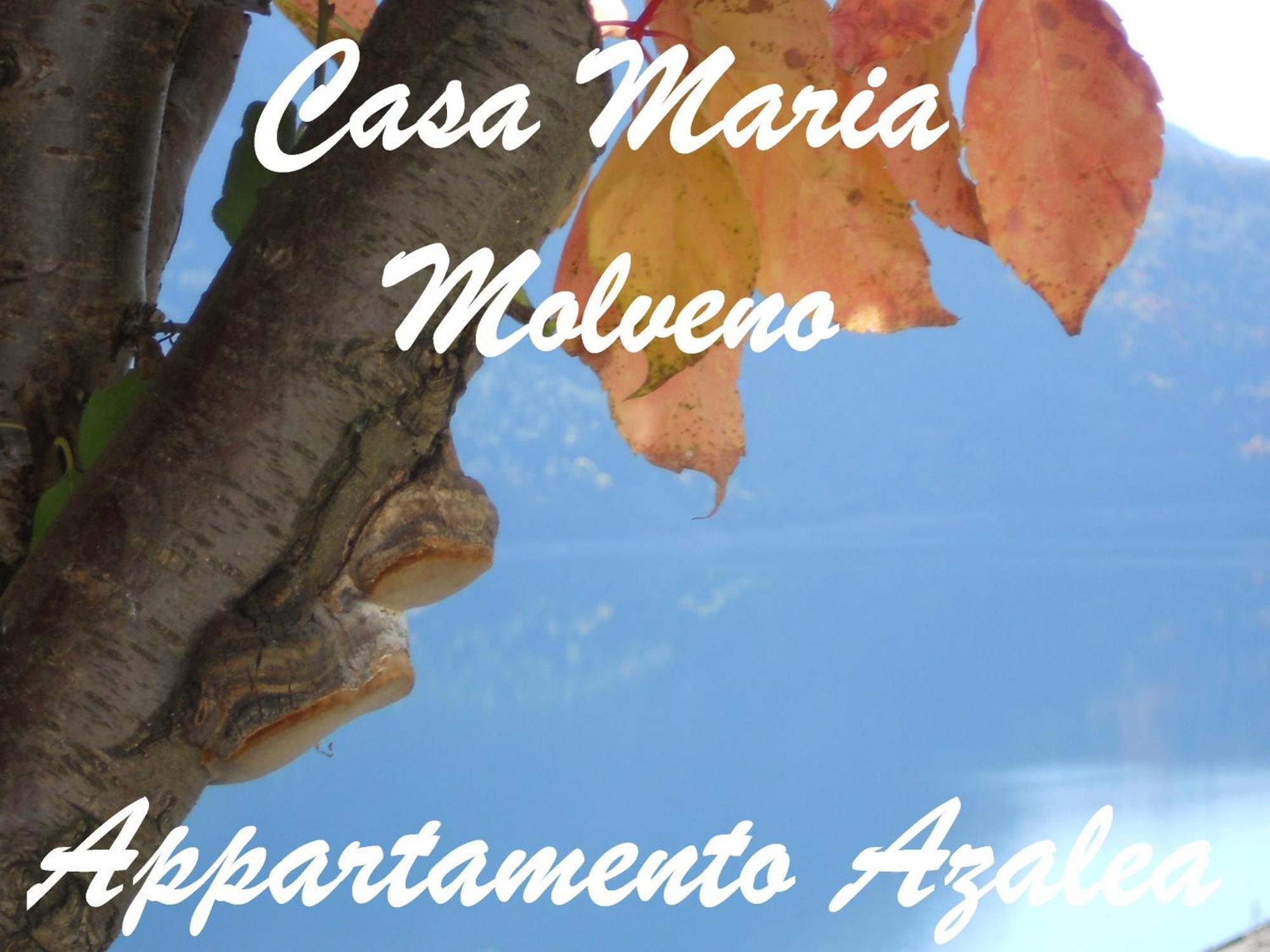 Ferienwohnung Casa Maria Molveno Zimmer foto